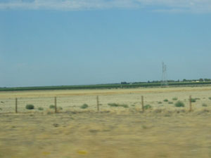 the prarie?