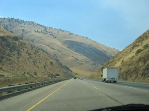 the hills are alive?