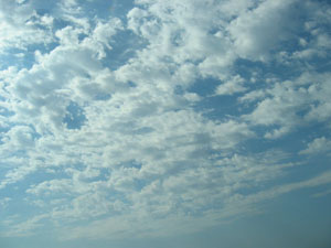 Cloudy day? no, it's really sunny.