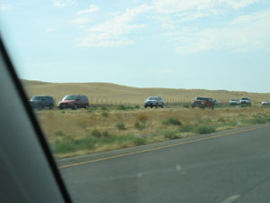 BIG CARS UNITE!